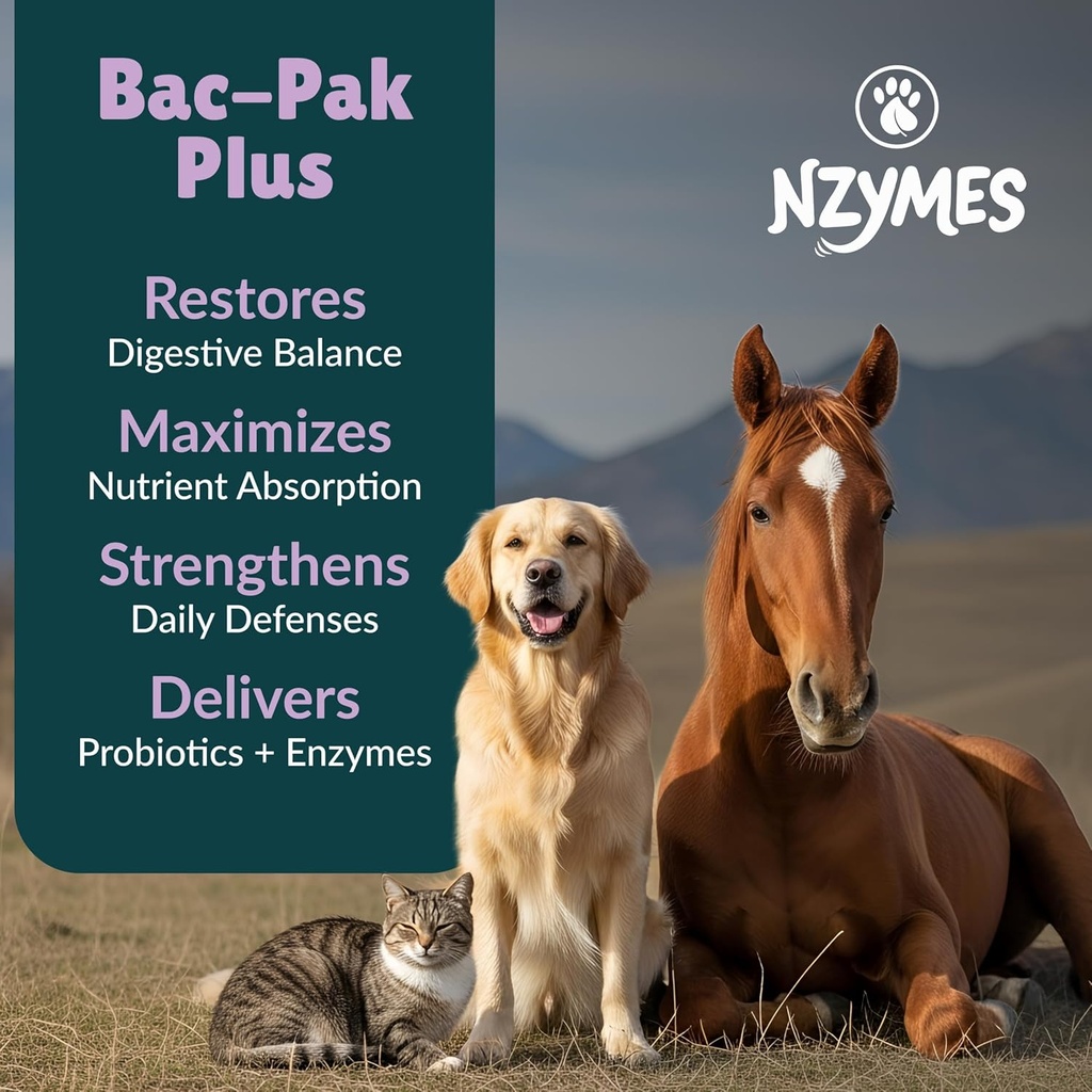nzymes-bac-pak-plus-100-grams-digestive--2.jpg