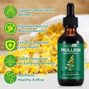 mullein-leaf-extract-mullein-leaf-extrac-2.jpg