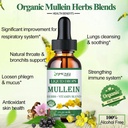 mullein-drops-for-lungs-powerful-lung-cl-4.jpg