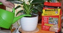 summitresponsible-solutions-mosquito-bit-2.jpg