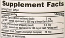 puritans-pride-odorless-garlic-parsley-5-4.jpg
