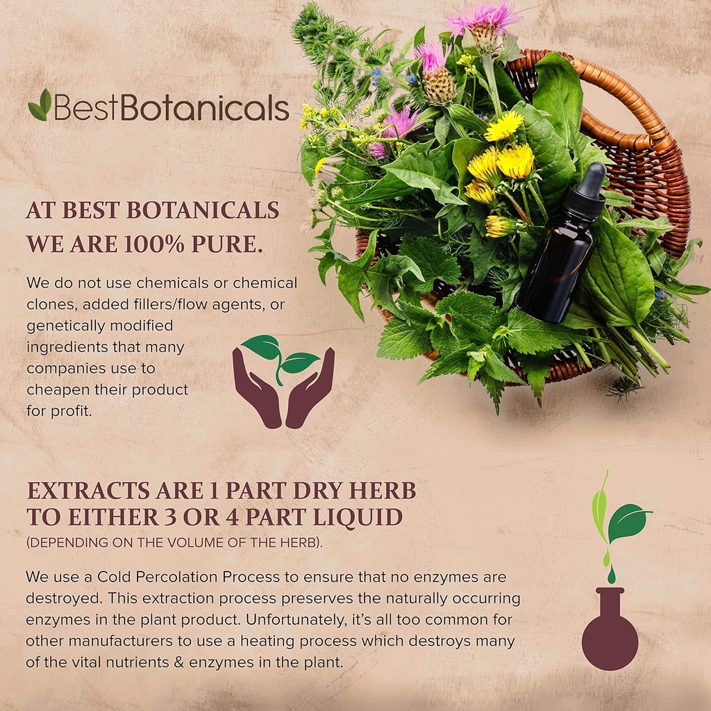 best-botanicals-red-raspberry-leaf-cut-4-5.jpg