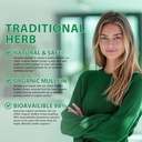 mullein-leaf-tincture---lung-cleanse---v-3.jpg