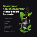 chlorophyll-liquid-drops-premium-quality-4.jpg