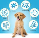 kennel-cough-treatment-for-dogs-kennel-c-3.jpg