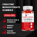 2-pack-creatine-monohydrate-gummies-suga-5.jpg