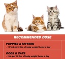 iron-supplements-for-cats---liquid-iron--6.jpg