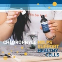 trace-minerals-concentrated-ionic-chloro-6.jpg