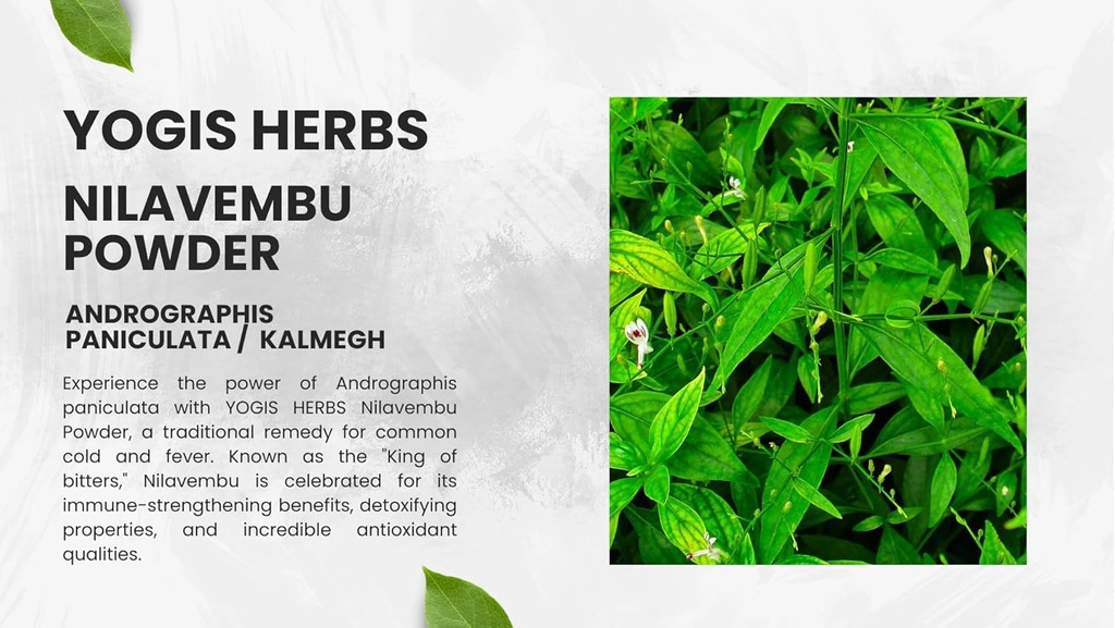 yogis-herbs-nilavembu-powder---andrograp-4.jpg