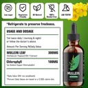yumoyi-chlorophyllmullein-drops-for-lung-2.jpg