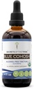 Segredos da Tribe Blue Cohosh Alcohol-Free Tintura (Glicerite) 659 mg Responsavelmente cultivada USDA Organic Blue Cohosh (Caulophyllum Thalictroides) Raíz seca (4 Fl Oz) Suplemento de Saúde Feminina