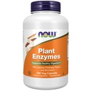AGORA Alimentos Suplementos, Enzimas Vegetais com Lactase, Protease, Papain e Bromelain, 240 Veg Cápsulas