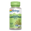 SOLARAY Bladderwrack Cápsulas 580 mg - Nutrient-Packed Suplemento de algas, alta em iodo - suporte de ervas equilibradas - Vegan, Não-GMO, 60 dias de garantia, Lab verificado - 100 Servings, 100 VegCaps