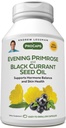 ANDREW LESSMAN Evening Primrose and Black Currant Seed Oil 360 Softgels - Acalma Desconforto físico e Mood Swings Devido ao ciclo menstrual, com Gamma-Linolenic, ácidos gordos Omega-6, sem aditivos