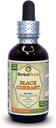 Groselha preta (Ribes nigrum) Tintura, folhas secas Extrato Líquido (Nome da marca: HerbalTerra, Proudly Made in USA) 2 fl.oz (60 ml)