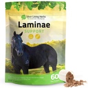 Silver Lining Herbs Laminae Apoio Horse Supplements Laminitis & Founder Support for Horse - Apoio à Mobilidade, Pés Doloridos, Soft Foot Tissue & Better Coat - Herbal Hoof Supplements for Horses - 1 LB