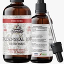 Goldenseal Tintura 4 oz – Extrato de ervas orgânicas □ Álcool Livre - Made in USA