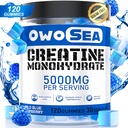 Creatina Gummies mono-hidratada para homens e mulheres 5000mg Creatina mono-hidratada por servir para apoio muscular Energia Boost 120 Conde mastigável 5g Creatina Suplemento Açúcar grátis Vegan (1 pacote, Framboesa Azul)