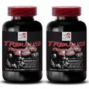 Dynamic Muscle Boost - TRIBULUS TERRESTRIS Extract - Natural Power Energy, Energy for Performance, Active Lifestyle Blend, Body Recovery Support, Strength Power Blend, Energy 2 Bottles 180 Tablets