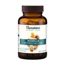 Himalaya Boswellia, Apoio Conjunto à Mobilidade e Flexibilidade, Promove Preservação de Tecidos, 250 mg, 60 Cápsulas