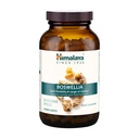 Himalaya Boswellia, Apoio Conjunto à Mobilidade e Flexibilidade, Promove a Preservação de Tecidos, 250 mg, 240 Cápsulas