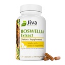 Jiva Botanicals Boswellia Extract Cápsulas 700mg por serviço - Boswellia Serrata Extract Supplement & Black Pepper - Suplemento de apoio conjunto para a saúde comum normal - 120 Cápsulas (Pacote de 1)