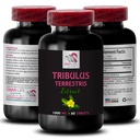 Pure Energy Support - TRIBULUS TERRESTRIS EXTRACTS - Strength Boost, Energy Source, Physical Power Booster, Athletic Support, Daily Energy Boost, Plant-Based Strength, Nature’s Power 1 Bottle 60 Tabs