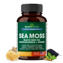 SANDHUHERBALS Sea Moss Cápsulas com óleo de semente preta Ashwagandha Ginger Burdock Raíz
