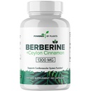 Puro Berberine Suplemento - 1300mg Berberine com Ceilão Canela para Metabolismo e Suporte do Sistema Imune - 60 Servings