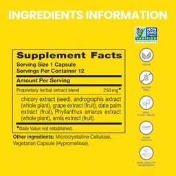 Himalaya PartySmart, 12 Cápsula Tubo - Distribuição de álcool Apoio ao fígado para uma melhor manhã após a bebida - Planta baseada, Vegan, Não-GMO, Glúten livre, Clinicamente estudado (Pack of 2)