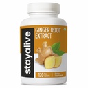 STAY ALIVE Pure Ginger Root Cápsulas 1000mg, 10:1 Extrair pó com 5% Gingerols, 120 comprimidos, Raiz de força extra Pó, Vegan, Não-GMO e Ginger Suplemento sem glúten