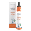 Tesouro enterrado gotas de gengibre - feito com raiz de gengibre orgânica para apoio digestivo, estômago irritado resolver gotas, Sem açúcar, sem álcool, uso versátil para chá de gengibre ou consumo direto, 30 Servings