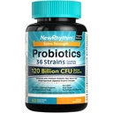NewRhythm Probióticos 120 bilhões UFC 36 Strains, 3-em-1 Probióticos com Prebióticos & Enzimas, Probióticos para Mulheres & Homens, Vegan Targeted Release Supplement, 60ct
