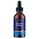 Rx Vitaminas Amino B Plex Cat & Dog Supplement - Vitamina B Complexo Líquido Plus Aminoácidos para Cães e Gatos - Apetite Booster e peso Gainer Cat & Dog Vitaminas - 2 onças