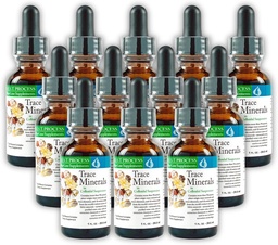 Morter Trace Minerals in Colloidal Suspension (12 Pack) Morter HealthSystem Best Process Alkaline — Nutrient Dense Trace Elements, Fulvic Minerals & Amino Acids
