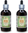 Muira Puama (Ptychopetalum Olacoides) Glicerita, Extrato Líquido Orgânico Livre de Álcool (Nome da marca: HerbalTerra, Proudly Made in USA) 2x4 fl.oz (2x120 ml)