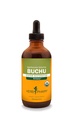 Herb Pharm certificado Buchu extrato líquido orgânico para suporte de sistema urinário - 4 onça