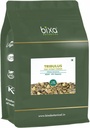 bica BOTANICAL Gokhru/Tribulus (Tribulus Terresteris) Dry Extract - 40% Saponinas por Gravimetria Pacote de 1 Suportes Genito-Urinary Health & Muscle Build