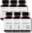 Complexo de Magnésio de Nutrição Mais Inteligente - Glicinato de Magnésio Quelado + Citrato, Malato para Sono, Relaxamento, Músculo e Nervos + clinicamente comprovada L-Teanina, Não-GMO-360 Tablet[180-Dia de Abastecimento]