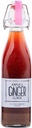 Annie's Ginger Elixir, 17 oz 1-Pack, Tiro de Ginger Tônico Natural Puro, Digestive Cleanse Boosts Immune Defense, Diária Gut Saúde e Bem-Estar, Bebidas não-GMO