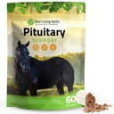 Silver Lining Herbs Pituitária Gland Supplements for Horses - Horse Supplements for Equine Metabolic Support, Cushing’s, suando & Shedding Issues - Mood & Energy Horse Supplement - 1 lb 60 dias de fornecimento