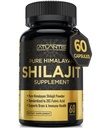 Atlantis Nutrition Himalayan Shilajit Cápsulas Formulado com 20% de ácido fulvico 1000MG por serviço — 10:1 Extrato □ EUA Made Supplement Himalayan Shilajit para homens e mulheres □ 60 Cápsulas