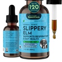 Animal Essentials Slippery Elm - Slippery Elm Bark Anti Diarrhea Drops para cães e gatos, extrato de ervas orgânicas para gut saudável, Digestive & Garganta Suporte, Ajuda Reflux ácido, Fórmula líquida- 1 fl oz