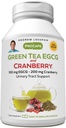 ANDREW LESSMAN Green Tea EGCG & Cranberry 60 Cápsulas - Standardizado para Catechins e Polifenóis. Ajuda a proteger tecidos, órgãos e sistemas em todo o corpo. Suporte poderoso anti-oxidante