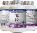 Enzimas digestivas do cão Pó - PROBIOTICS para cães - Gut saudável - Stop Gas Diarréia e mau hálito - Digestive Boost - probióticos para cães - 1 garrafa (60 Doces)