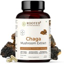 Ativos ROOTED, Extrato de Cogumelo Chaga Siberiano, Orgânico certificado 35% Beta Glucans - Suporte a Antioxidante e Vitalidade Laboratório verificado (60 Veg Caps)