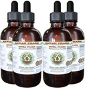 Muira Puama Alcohol-free Liquid Extract, Organic Muira Puama (Ptychopetalum Olacoides) Glicerite Natural Herbal Supplement, Hawaii Pharm, USA 4x4 oz