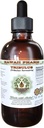 Tribulus Alcohol-Free Liquid Extract, Tribulus (Tribulus Terrestris) Glicerite de frutas secas Natural Herbal Supplement, Hawaii Pharm, USA 2 fl.oz