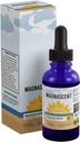 Iodo nasal suplemento orgânico diário de saúde alta potência 2% concentrado líquido gotas de iodo apoia energia e metabolismo (1 oz/30ml)