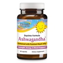 HERB & ESPICE Ashwagandha 60 Caps